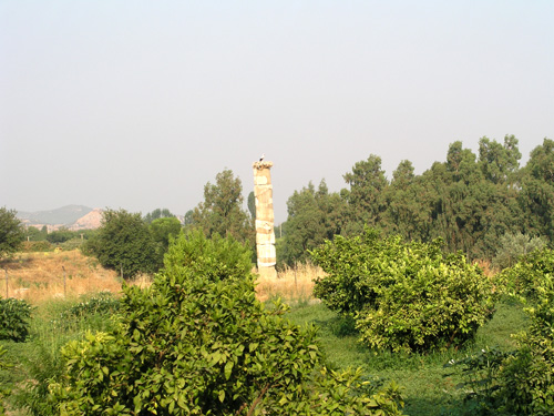 066-080104-1-sole remaining column, Temple of Artemis, 7th Wonder of the World, Selchuk, Turkey