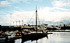 Reykjav�k Fishing Harbor
