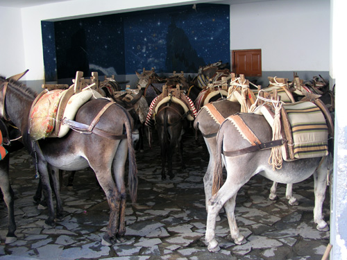 061-073004-61-donkeys, Lindos