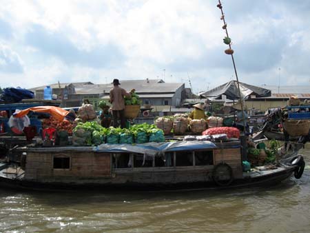 VN-300