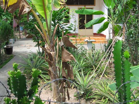 VN-301